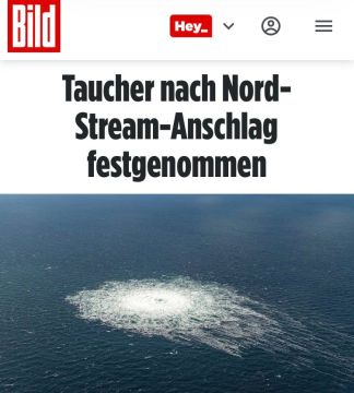 Водолаз арестован после взрыва на «Северных потоках»: Задержанный украинец может быть Владимиром Журавлевым, ранее задержанным Польшей