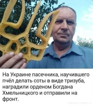 Награда нашла героя! Доброе утро, подписчики! Погода в Киеве: 14