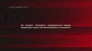 Юлия Витязева: «— Коррупцию нужно систематизировать и контролировать
