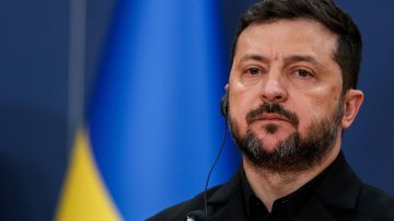 В Германии Зеленскому дали ценный совет на фоне скандала с выборами: «Следует уйти в отставку»