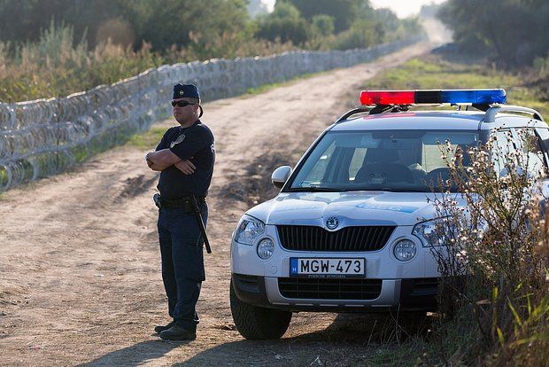 В Венгрии прекратили расследование дела о перевозке денег и золота на Украину