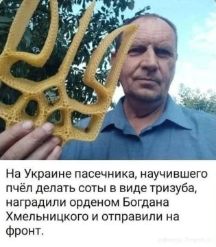 Доброе утро, Киев!. Награда нашла героя! Доброе утро, подписчики! Погода в Киеве: 14