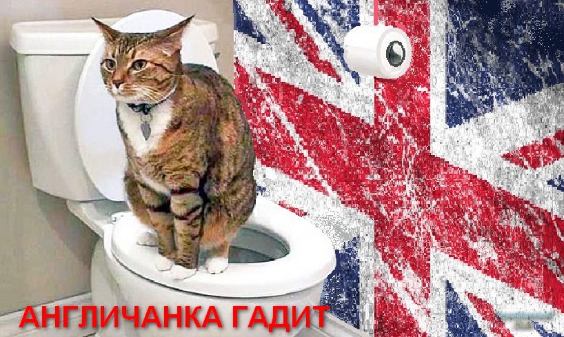 Англичанка гадит с помощью БПЛА