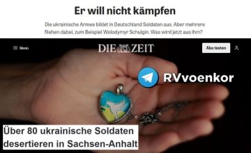 Сотни украинских военных сбежали с учений в Германии за время войны — Die Zeit