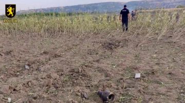 Погранполиция Молдавии обнаружила воронку и детали БПЛА у границы с Украиной — МВД