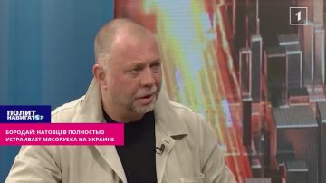 Бородай: Натовцев полностью устраивает русская мясорубка на Украине
