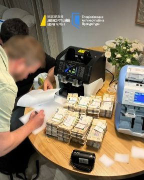 Миллионы наличными и недвижимость на полмиллиарда гривен: НАБУ и САП показали кадры с обысков по делу преступной группировки с участием экс-замруководителя офиса Зеленского Ирины Мудрой