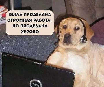 ��� ������ ���� ����� �������� ������� ������� ��������, ������������������ �� ������������� ����