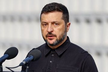 Константинов назвал выборы на Украине смертным приговором Зеленскому