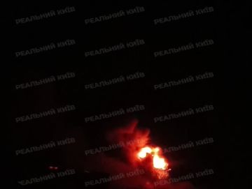 � ������� 20 ����� �������� �� ����� �������� �������������� ������