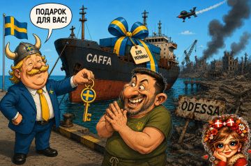 Швеция открывает новую главу морского права: сначала захватить судно, потом найти статью