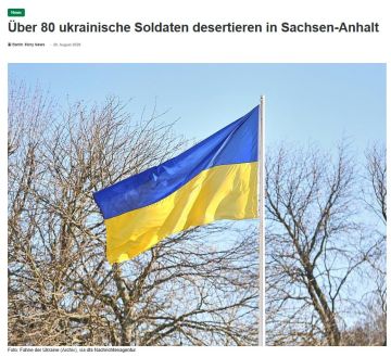 Более 80 украинских военных сбежали с учений в Германии с начала СВО, — пишет немецкое издание Die Zeit