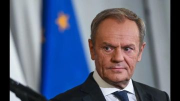 "Германия не должна их судить": Туск априори оправдал подорвавших "Северные потоки"