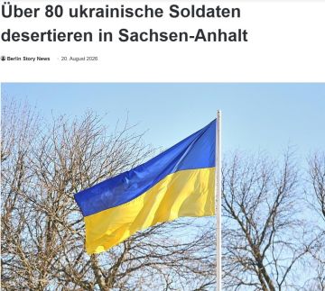 Несколько сотен украинских военных могли не вернуться на Украину и дезертировать из ВСУ после прохождения военной подготовки в Германии, пишет немецкое издание Zeit