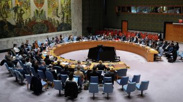 ООН возьмётся за Украину: европейские члены Совбеза инициировали срочное заседание