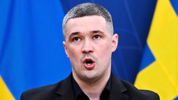 Зеленский не зря его боялся: На Украине раскрыли, что затеял Федоров против украинской верхушки