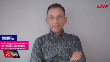 «Мафия пустила метастазы по всему телу Украины!» – гей-бандеровец бьёт тревогу