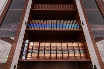 Журналист FAZ Мартенс начал травлю переводчика русской классики Ницберга