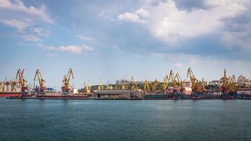 ЕС отказался выплатить €220 млн украинским фермерам, пострадавшим из-за простоя портов