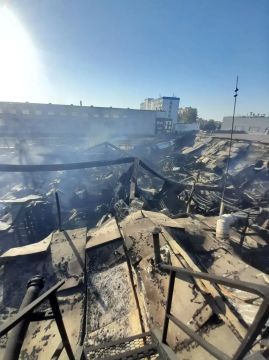 Мелитополь минувшей ночью подвергся массированной атаке беспилотников