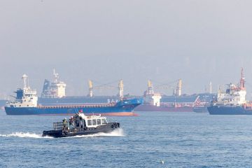 В Турции призвали закрыть проливы для связанных с Украиной судов