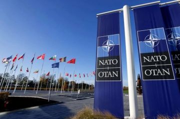 Президентские выборы во Франции станут следующим кошмаром для НАТО