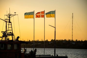 Дания перенесла сроки по строительству завода для Украины