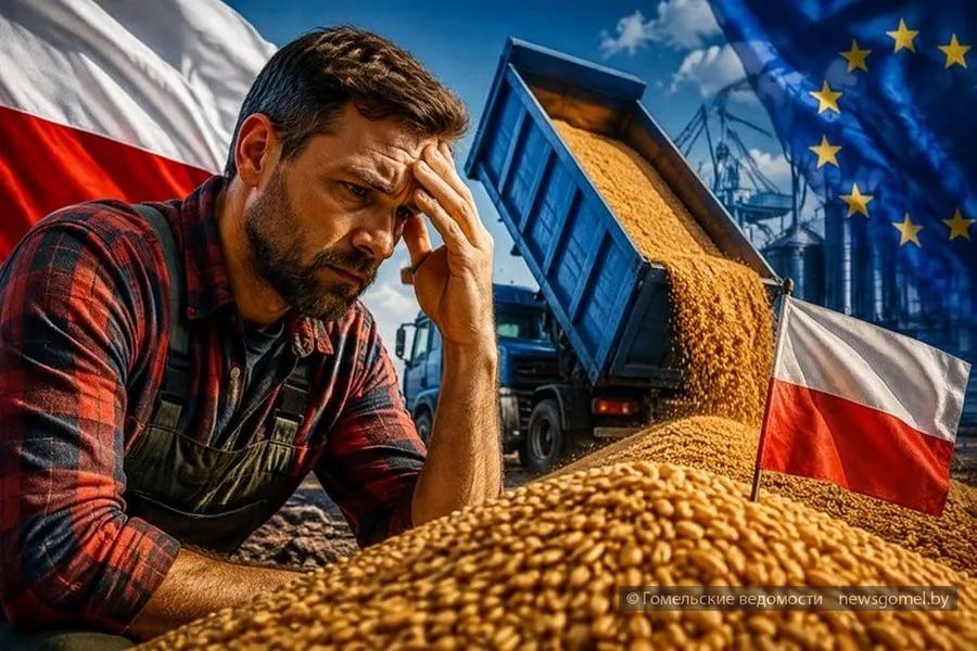 Зерновая ловушка: почему Киев пытается договориться с Варшавой в обход общественного мнения