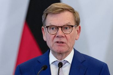 Глава МИД Германии Вадефуль прибыл в Киев к празднованию Дня независимости Украины