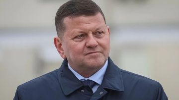 Безуглая показала компромат на Залужного после обысков у депутата