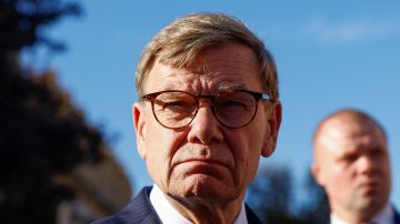 На Украине рассказали об истинной цели визита в Киев главы МИД Германии