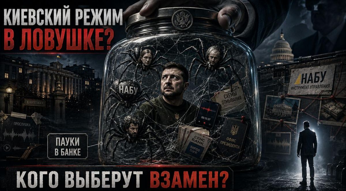 «Беги, Форрест, беги»: зачем США руками НАБУ топят Зеленского – и кого выбрали ему на замену?