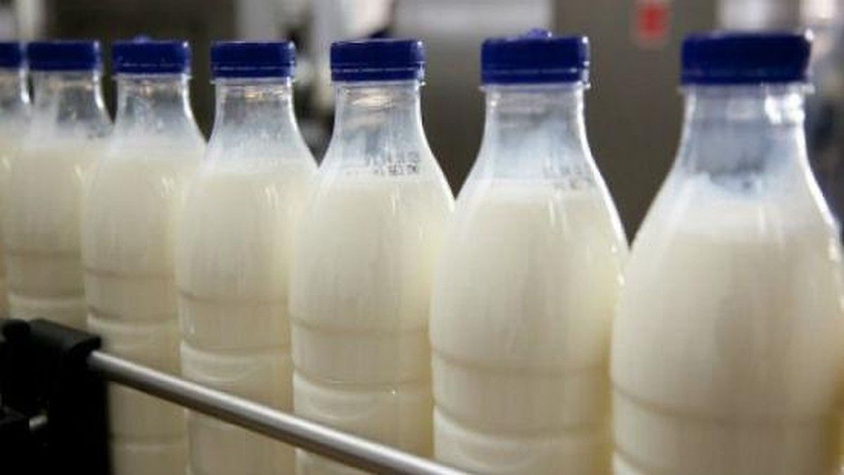 Дожили: Молдова – лидер по закупкам украинской молочной продукции
