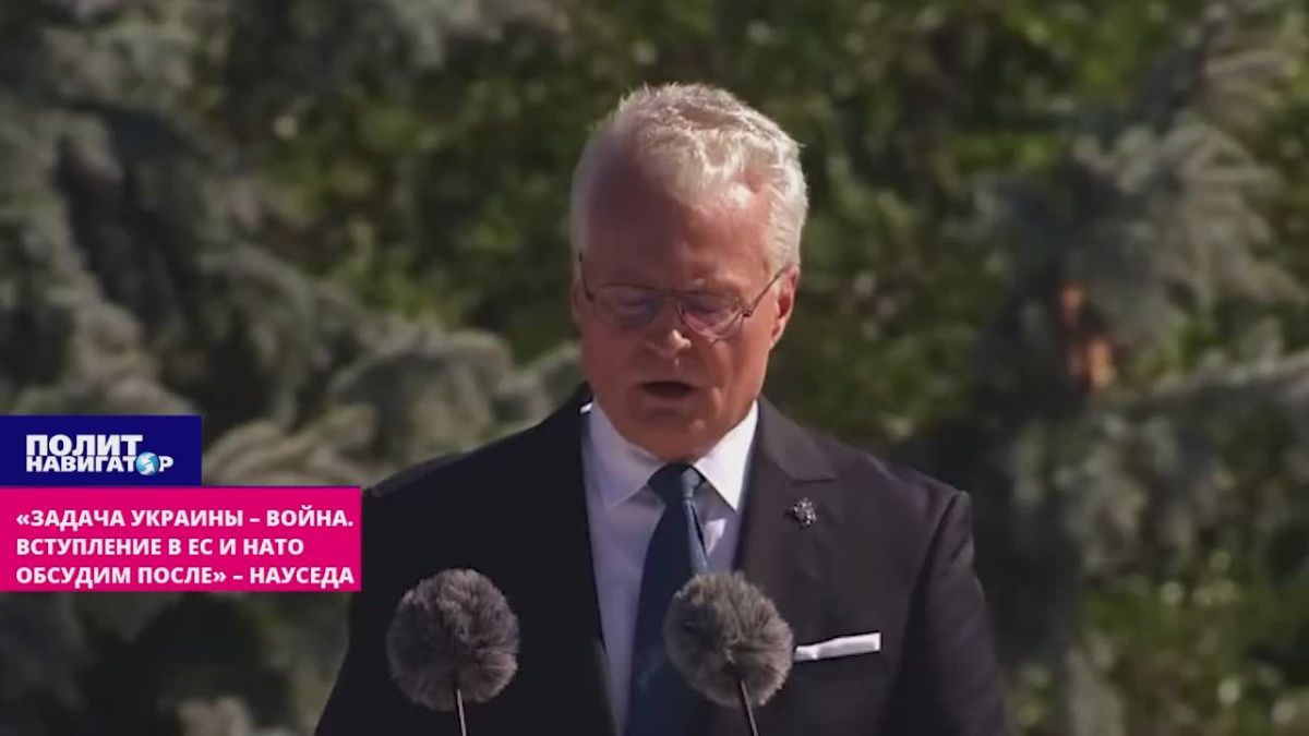 «Задача Украины – война. Вступление в ЕС и НАТО обсудим после» – Науседа