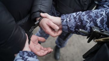 На фестивале в Ленобласти задержали около 100 леворадикалов