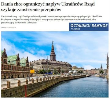 Дания хочет ограничить приток украинцев из "безопасных" регионов и заставить их работать