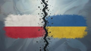 Украинская пропаганда выдала собственный позор за чужую вину