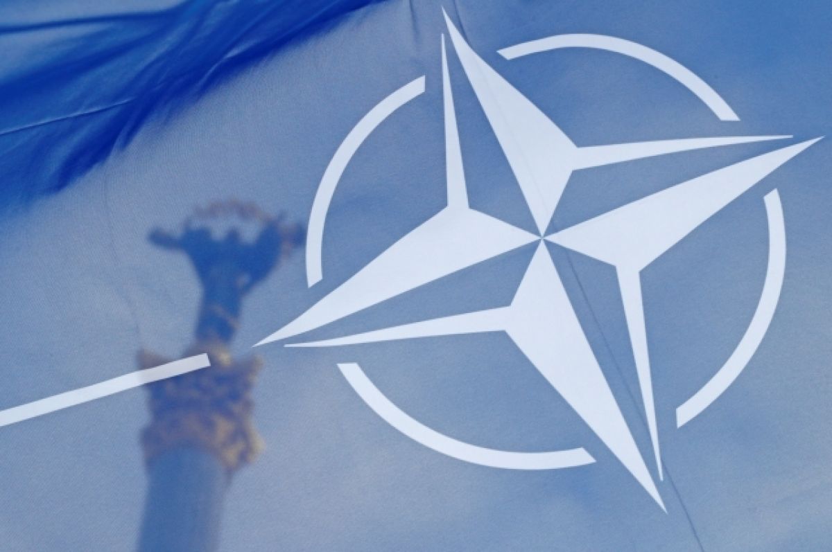 Страны НАТО пытаются «отмазаться» от военной помощи Украине – Лавров