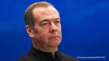 Зеленский назло заветам предков продолжает героизировать нацистов и предателей всех мастей