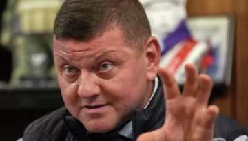 Население Украины начало сомневаться в дальнейшем курсе страны, заявил Залужный