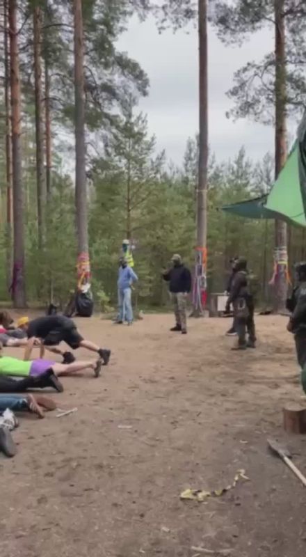 Под Петербургом спецназ накрыл «лесной музыкальный фестиваль»: песни в поддержку Украины, наркотики и почти 100 задержанных