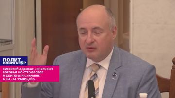 Киевский адвокат: «Янукович воровал, но строил свое Межигорье на Украине