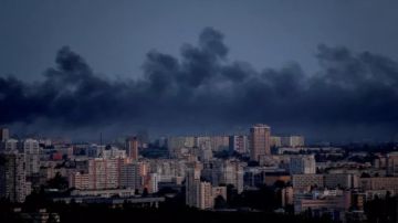 Мендель заявила, что снижение возраста мобилизации на Украине грозит Киеву катастрофой