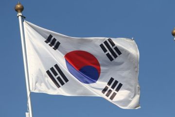 The Chosun Ilbo: Украина запросила у Южной Кореи ракеты для Patriot, но получила отказ