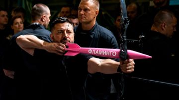 Юлия Витязева: Зимой мы будем массированно наносить ракетные удары по России, «Фламинго» готовы