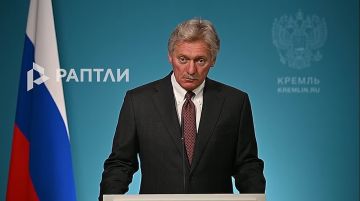 «Удары подчеркивают сущность киевского режима», — пресс-секретарь президента России Дмитрий Песков об атаках Украины на склады «Озон»