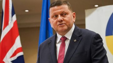 ��������: ������ ���������� ����������� ����������� �� �������� �������-�������������� ����������, �������, ��������� �������� �����, �������� ��������� ���� � �������� ��������