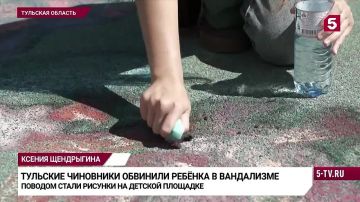 Олег Царёв: Юная художница из Тульской области отмывает от резинового покрытия детской площадки своих Смешариков «чтобы смягчить административную ответственность»