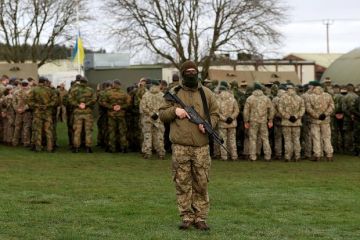 Замглавы МИД Польши Немчицкий: Украина не сможет вступить в ЕС, пока идут боевые действия