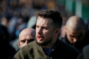 Зеленский присвоил звание Героя Украины основателю батальона «Азов» Билецкому